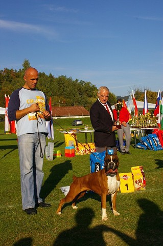 www.boxer-show.eu